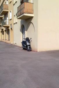solitary1