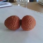 Lychee twins!
